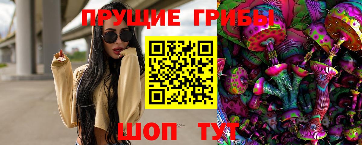 Псилоцибиновые грибы GOLDEN TEACHER  Вход с VPN  Артёмовский 